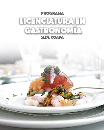 Licenciatura en Gastronomía