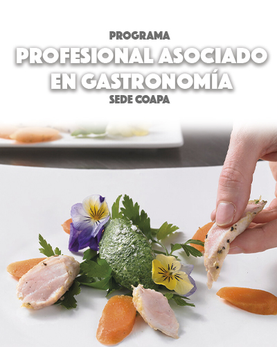 Profesional Asociado en Gastronomía 