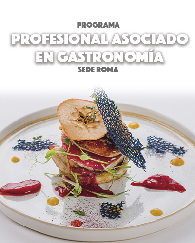 Profesional Asociado en Gastronomía 