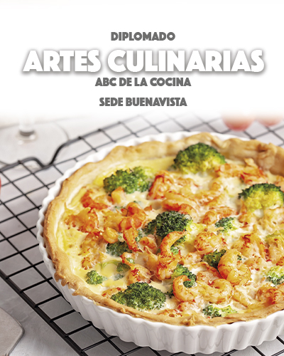Diplomado en Artes Culinarias ABC de la Cocina