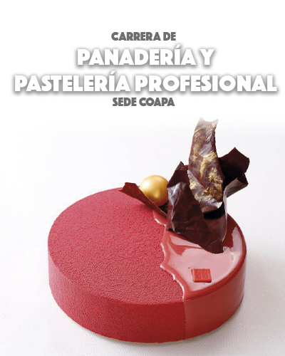 Carrera de Panadería y Pastelería Profesional