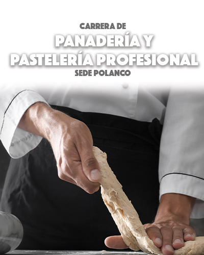 Carrera de Panadería y Pastelería Profesional