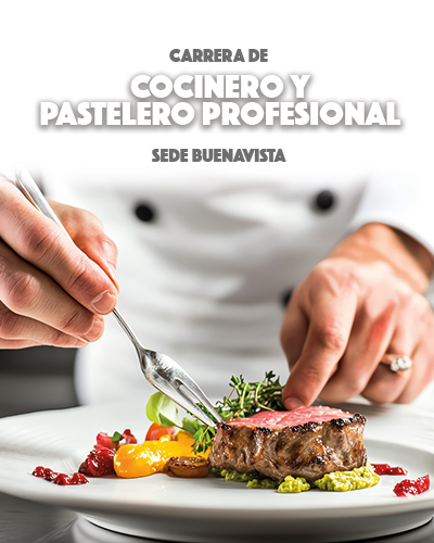 Carrera de Cocinero y Pastelero Profesional