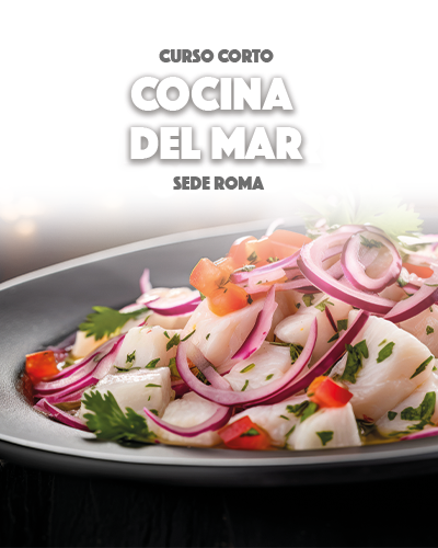 Curso Corto de Cocina del Mar
