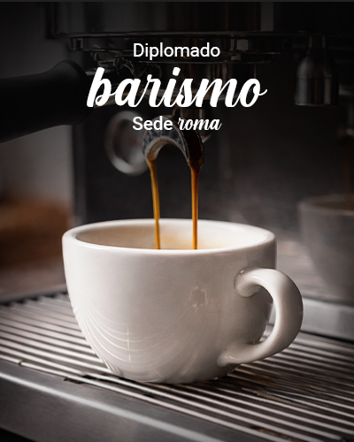 Diplomado en Barismo