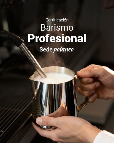 Certificación de Barista Profesional