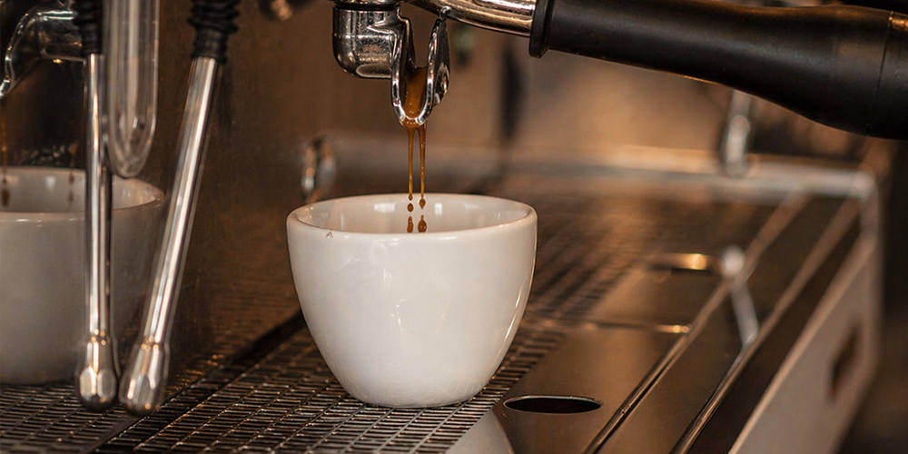 Diplomado en Barismo