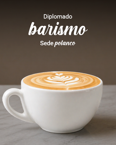 Diplomado en Barismo