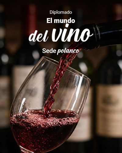 Diplomado el Mundo del Vino
