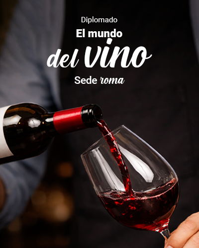 Diplomado el Mundo del Vino