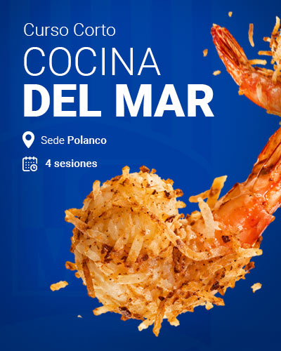 Curso Corto de Cocina del Mar