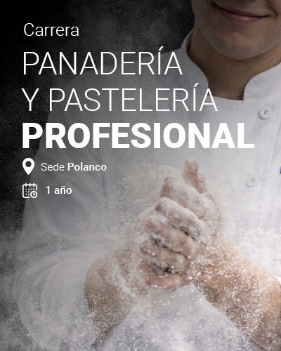 Carrera de Panadería y Pastelería Profesional